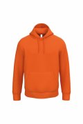 Goedkope heren Hoodie iDeal Basic Brand 
